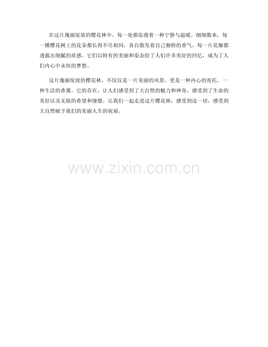 瑰丽绽放的樱花林.docx_第2页