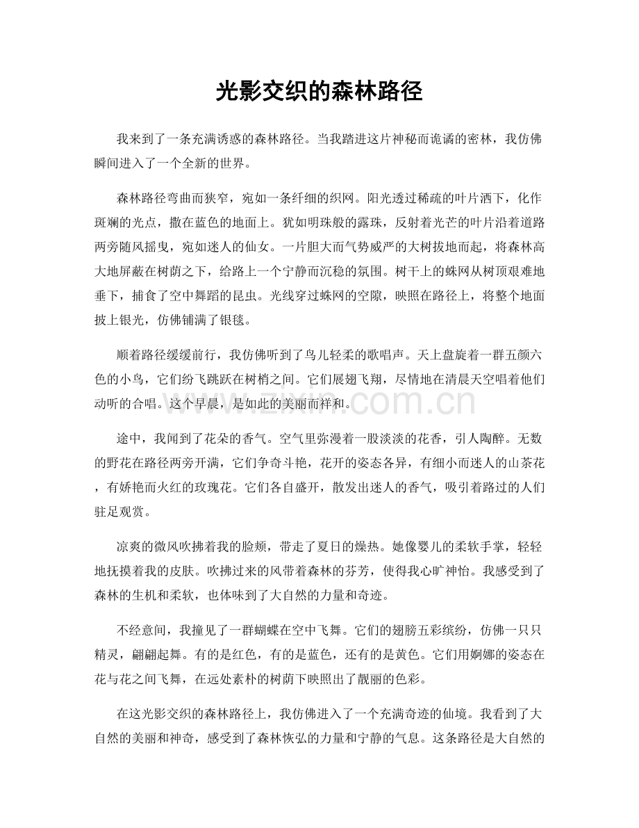 光影交织的森林路径.docx_第1页