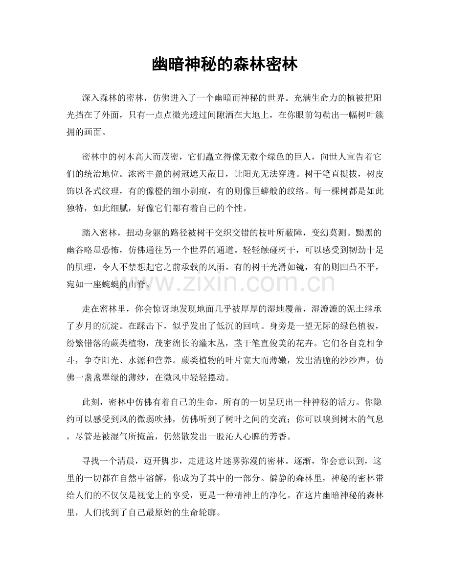 幽暗神秘的森林密林.docx_第1页