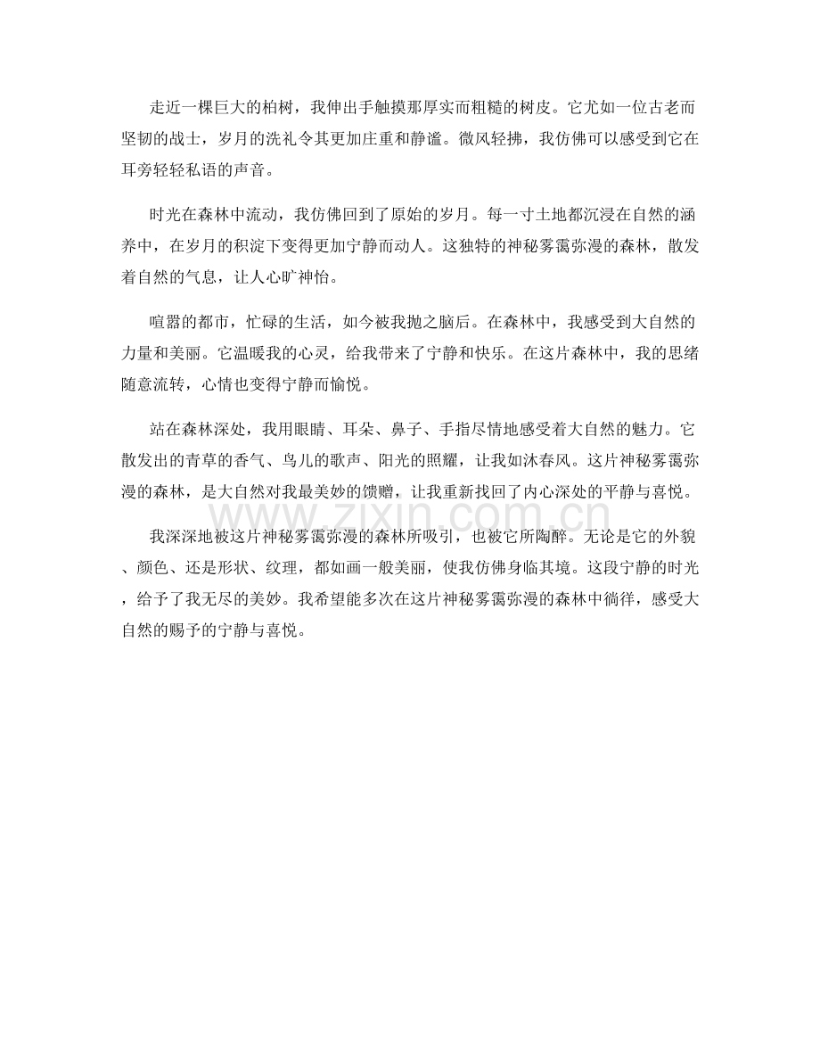 神秘雾霭弥漫的森林.docx_第2页