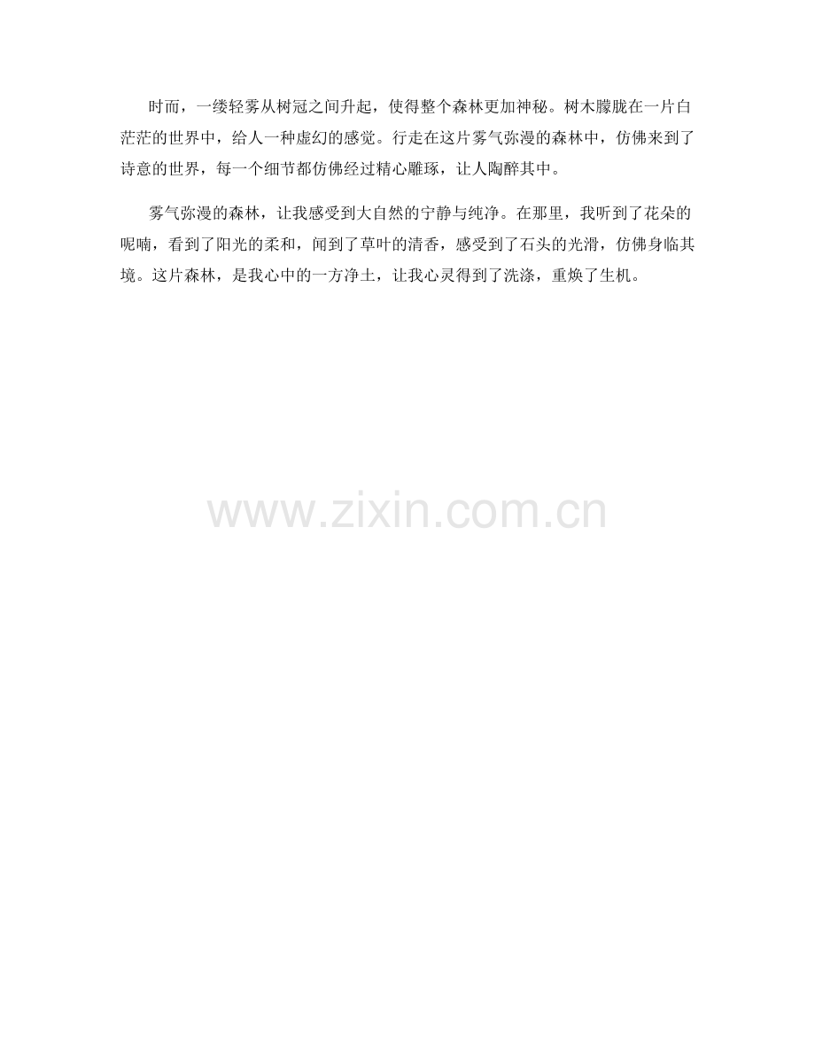 雾气弥漫的森林.docx_第2页