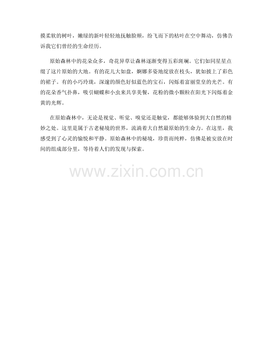 原始森林中的古老秘境.docx_第2页