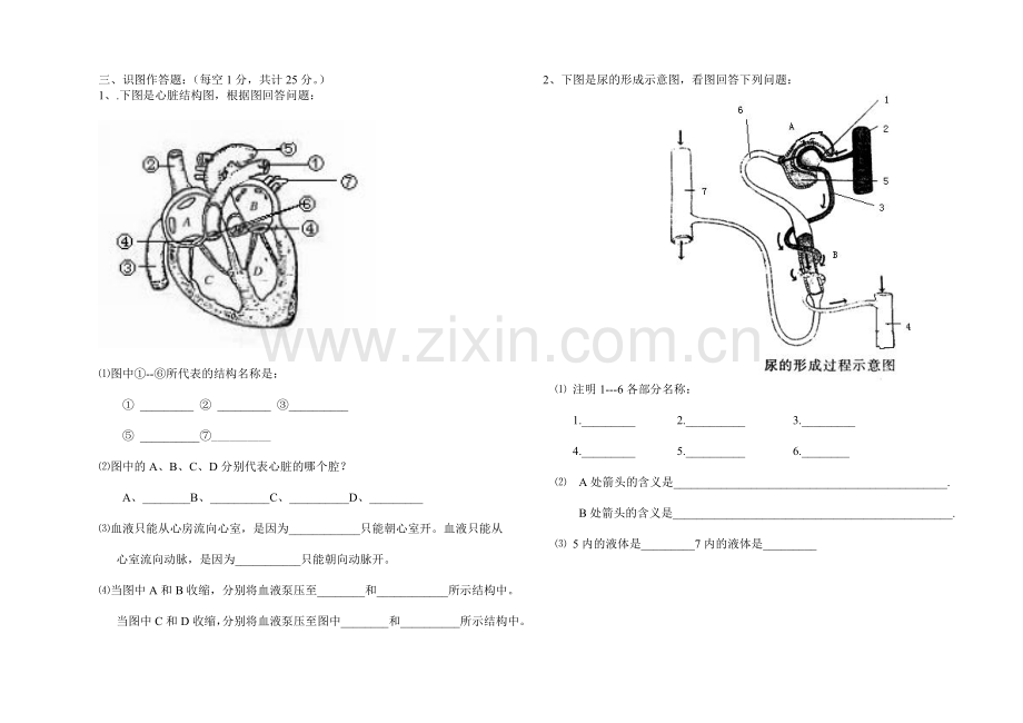 七年级生物下册第二次月考试题.doc_第2页