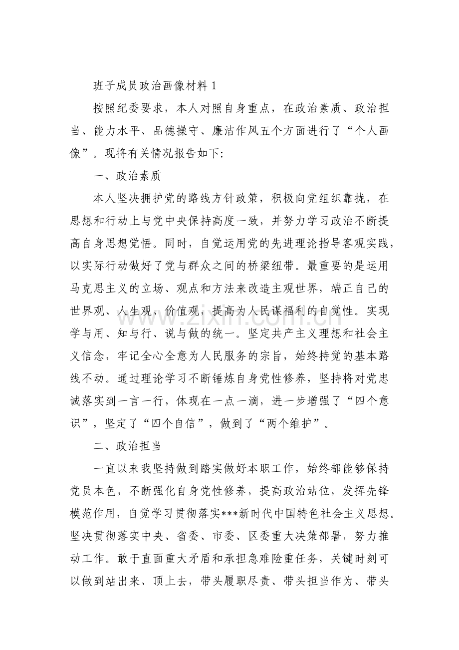 班子成员政治画像材料集合10篇.pdf_第1页