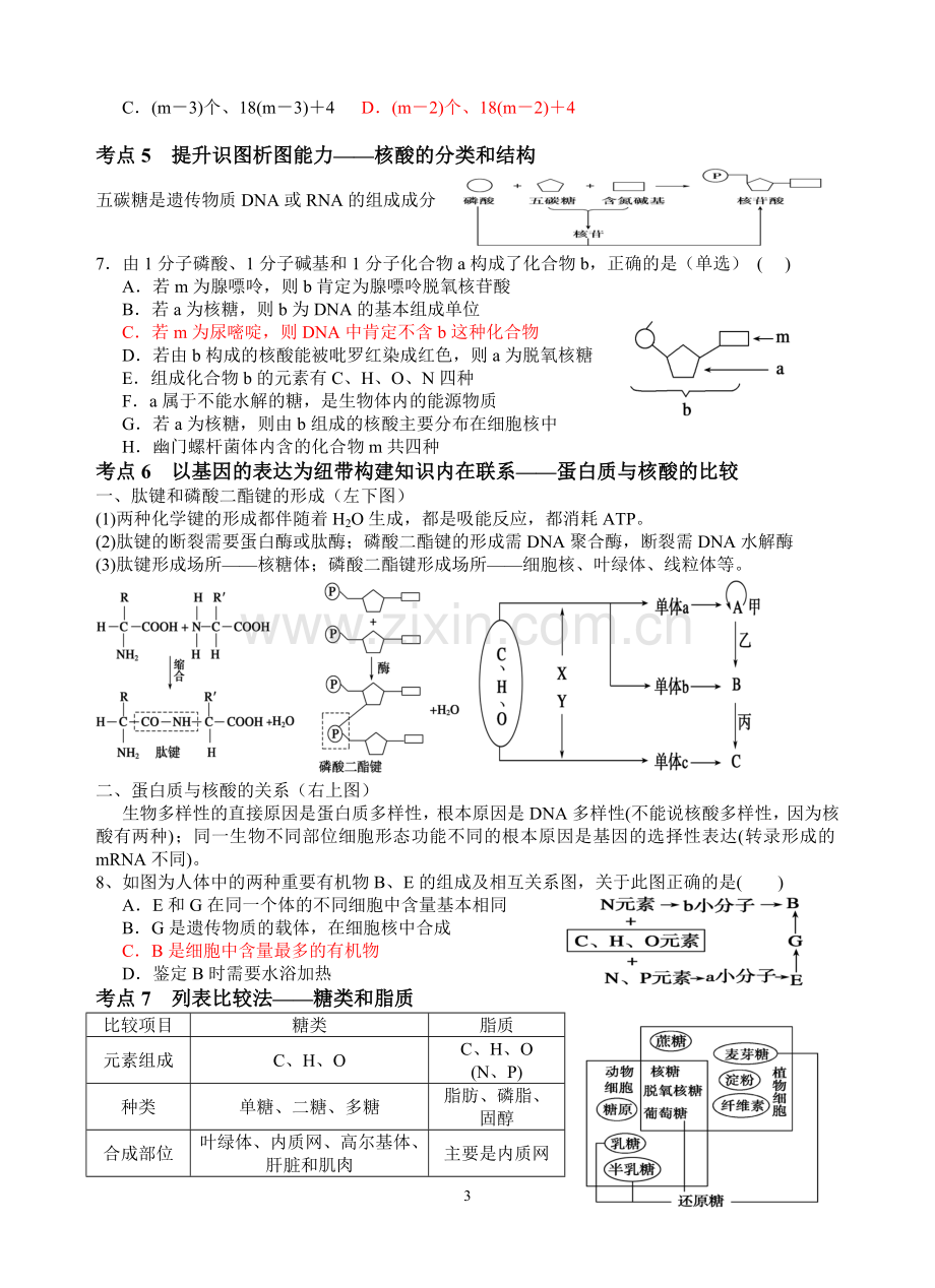 新人教版高中生物必修一教案与练习第二章组成细胞的分子.doc_第3页