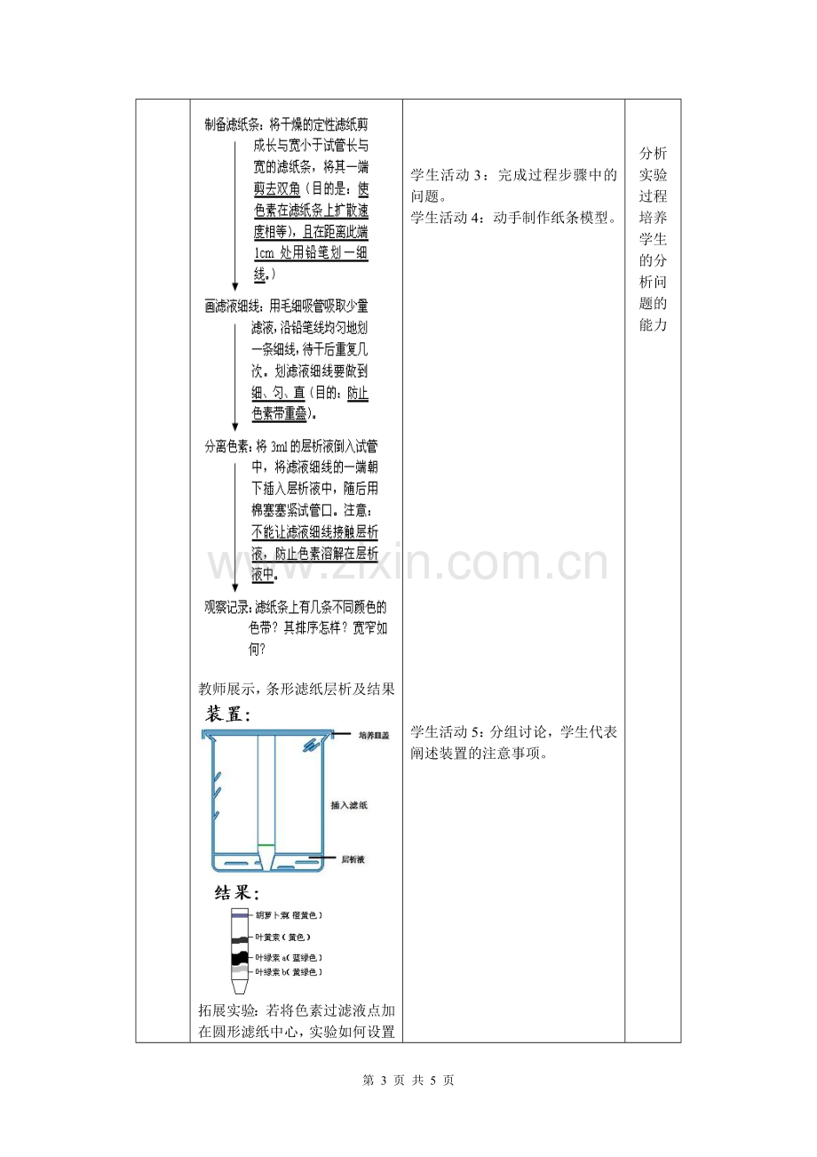 绿叶中色素的提取和分离.doc_第3页