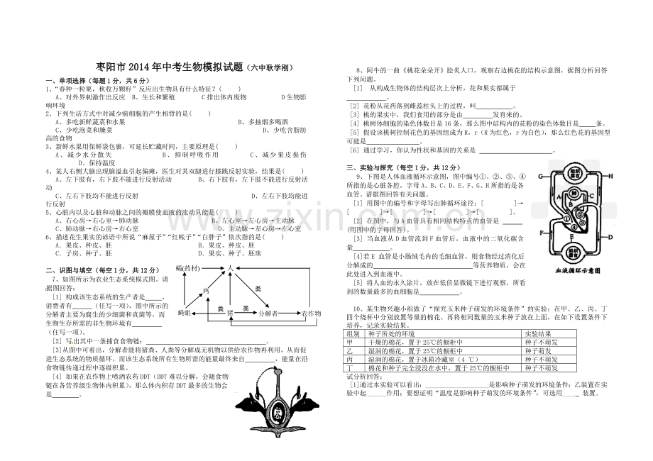 中考生物模拟试题.doc_第1页