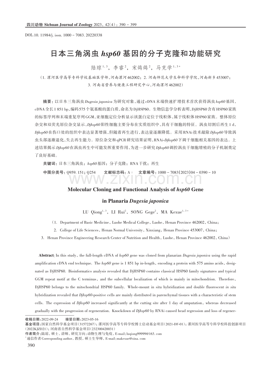 日本三角涡虫hsp60基因的分子克隆和功能研究.pdf_第1页