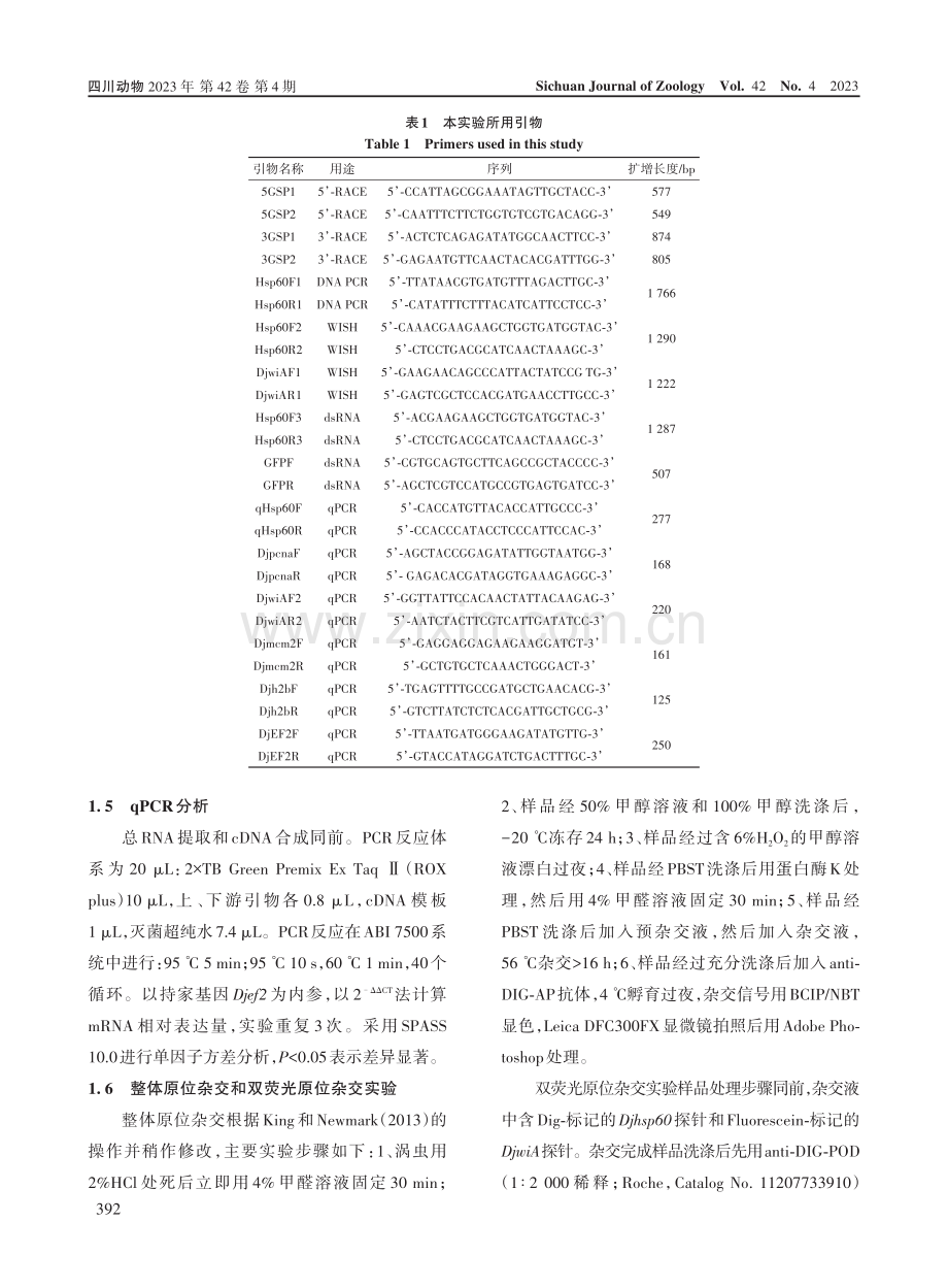 日本三角涡虫hsp60基因的分子克隆和功能研究.pdf_第3页