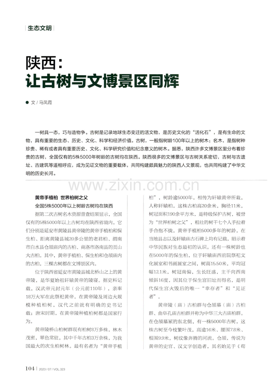 陕西：让古树与文博景区同辉.pdf_第1页