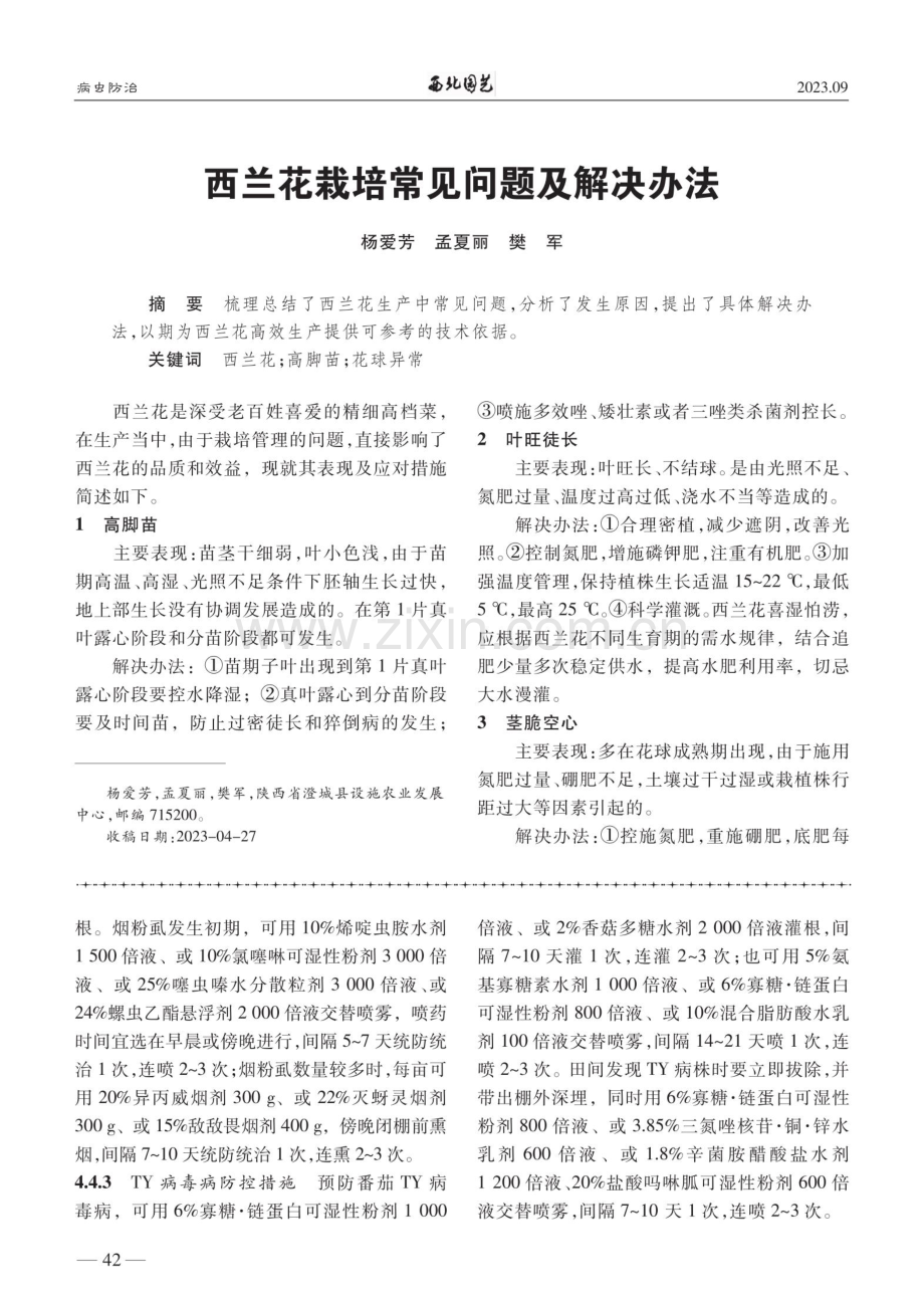 设施番茄黄化曲叶病毒病绿色防控技术.pdf_第3页