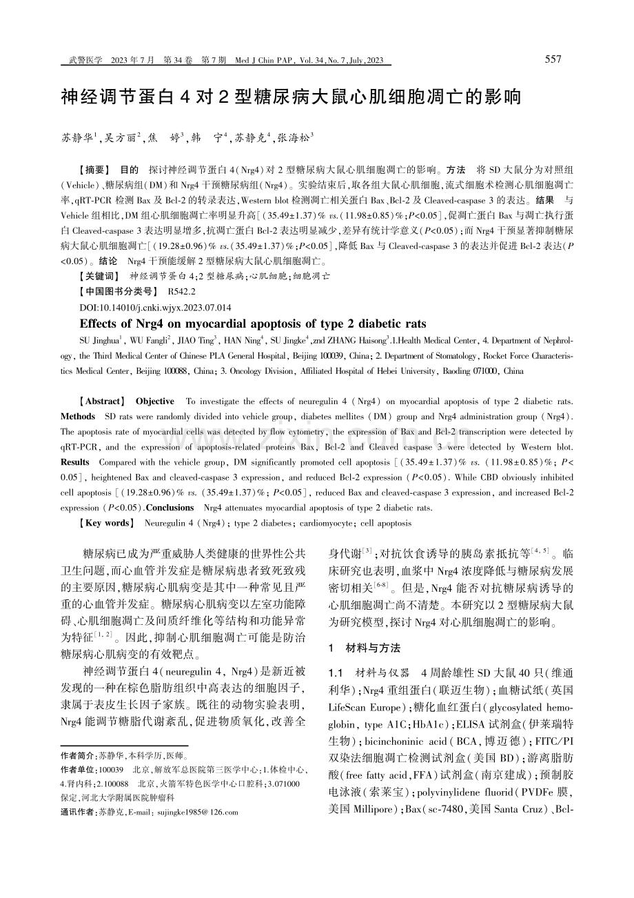 神经调节蛋白4对2型糖尿病大鼠心肌细胞凋亡的影响.pdf_第1页