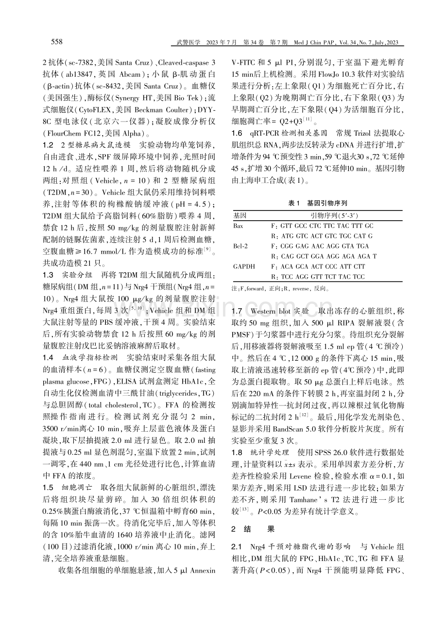 神经调节蛋白4对2型糖尿病大鼠心肌细胞凋亡的影响.pdf_第2页