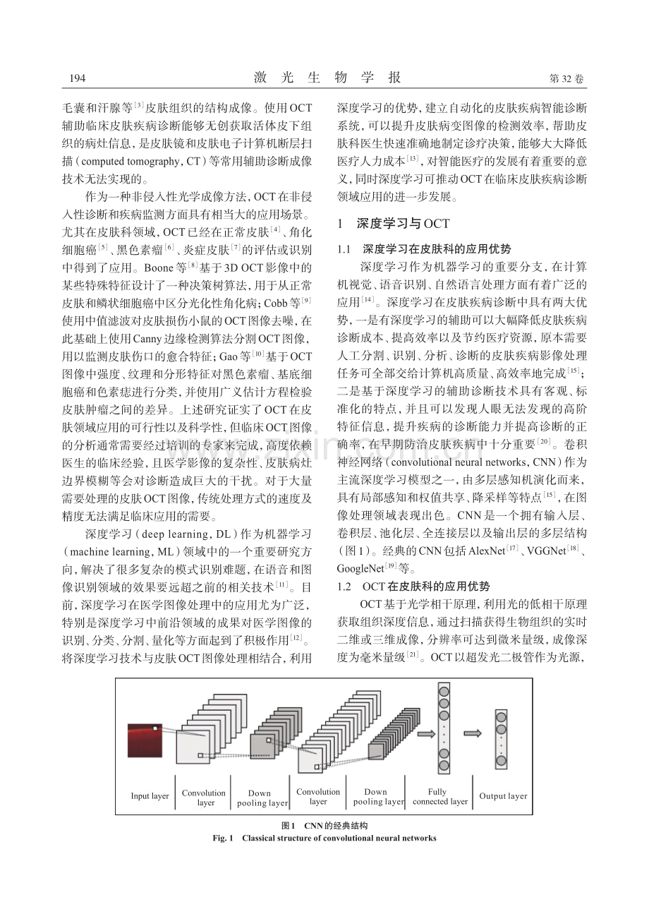 深度学习在皮肤OCT医学图像中的应用.pdf_第2页