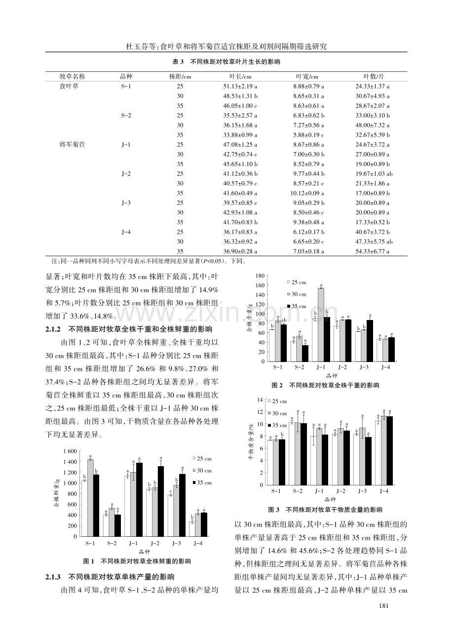 食叶草和将军菊苣适宜株距及刈割间隔期筛选研究.pdf_第3页