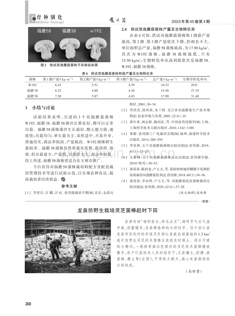 适宜玉林市栽培的双孢蘑菇菌株比较试验.pdf_第3页