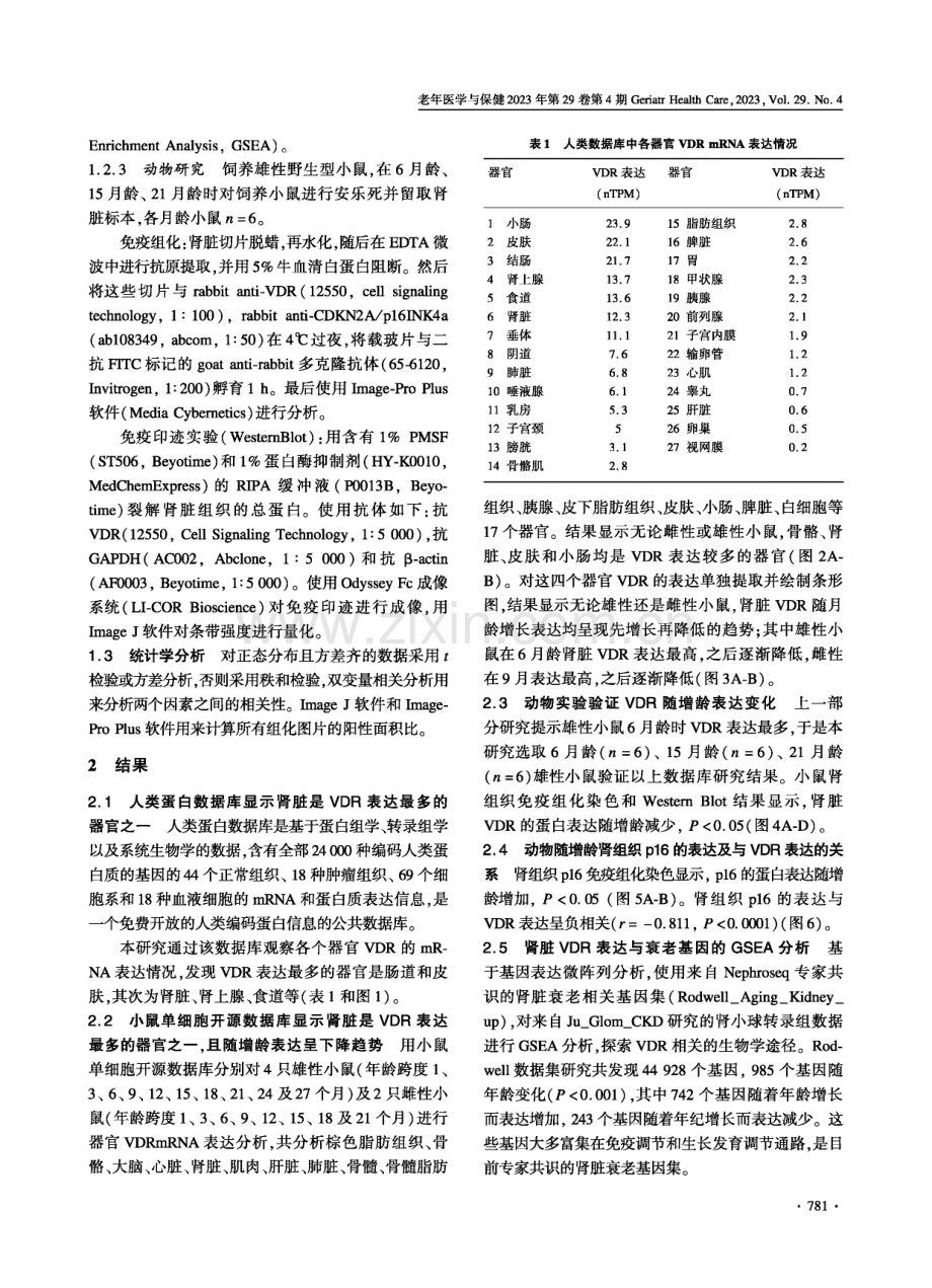 肾脏VDR表达与衰老密切相关-来自多个数据库的综合分析.pdf_第3页