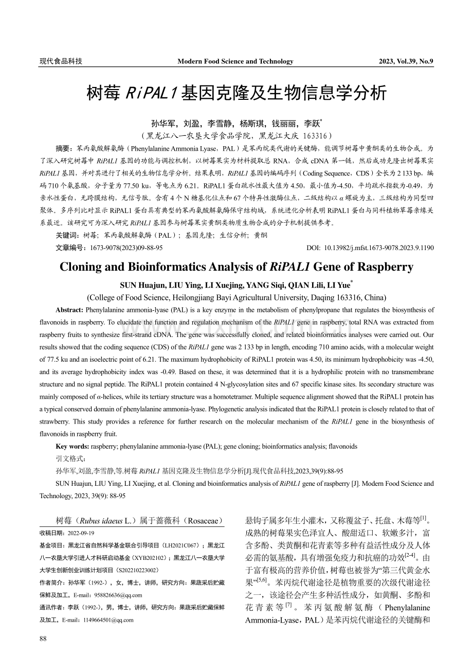 树莓RiPAL1基因克隆及生物信息学分析.pdf_第1页