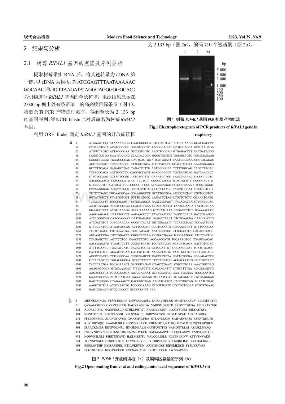 树莓RiPAL1基因克隆及生物信息学分析.pdf_第3页