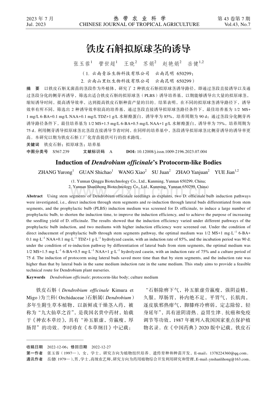 铁皮石斛拟原球茎的诱导.pdf_第1页