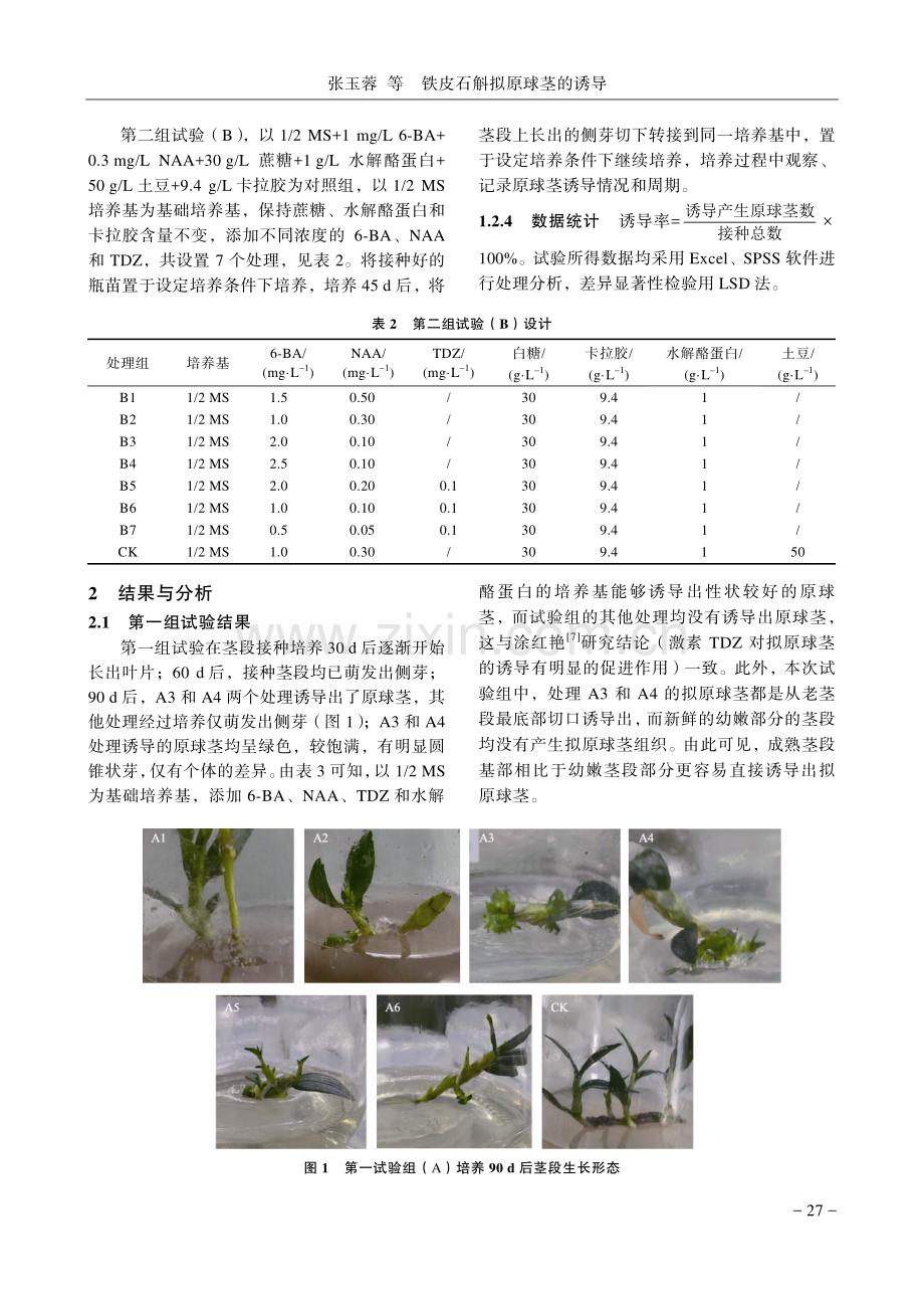 铁皮石斛拟原球茎的诱导.pdf_第3页