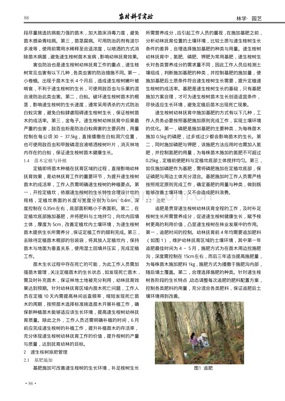 速生桉树幼林抚育及施肥管理分析.pdf_第2页