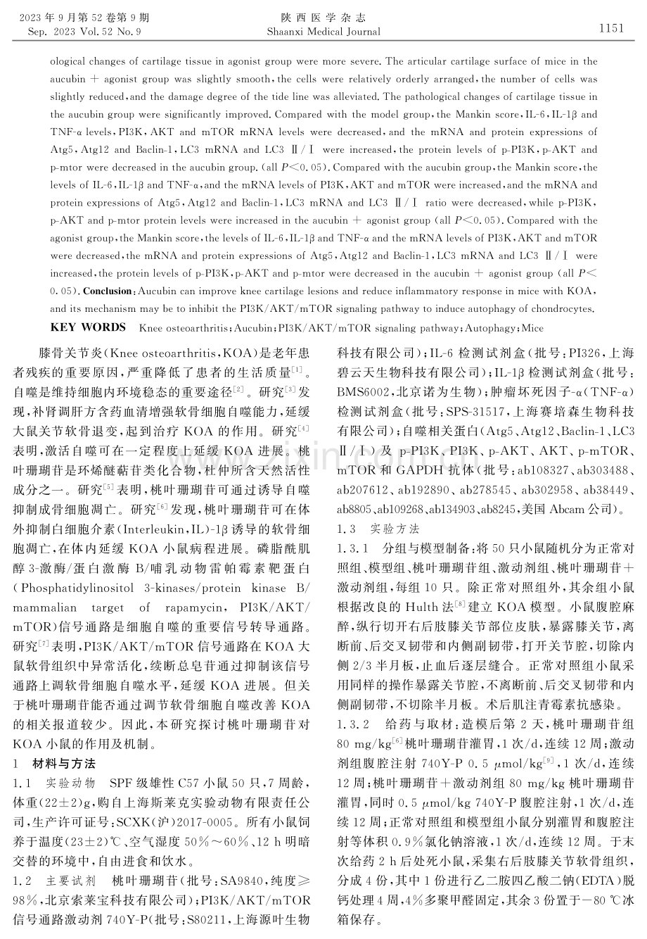 桃叶珊瑚苷对膝骨关节炎小鼠的作用及机制实验研究.pdf_第2页