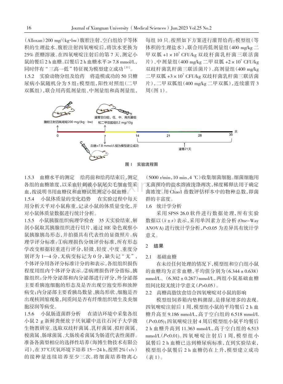 双歧杆菌乳杆菌三联活菌片联合二甲双胍对2型糖尿病小鼠糖代谢的影响.pdf_第3页