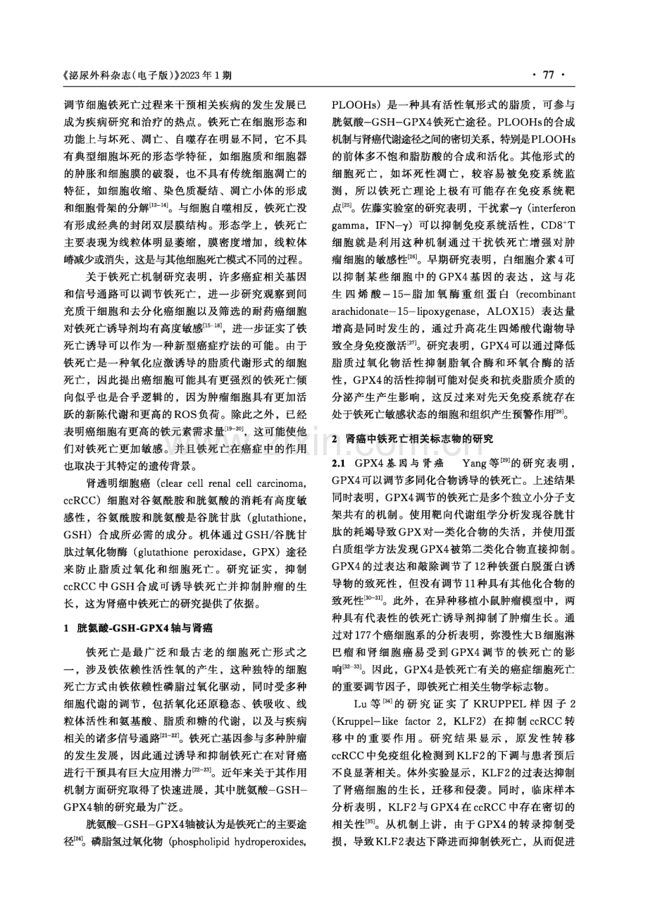 铁死亡基因在肾癌中的研究进展.pdf_第2页