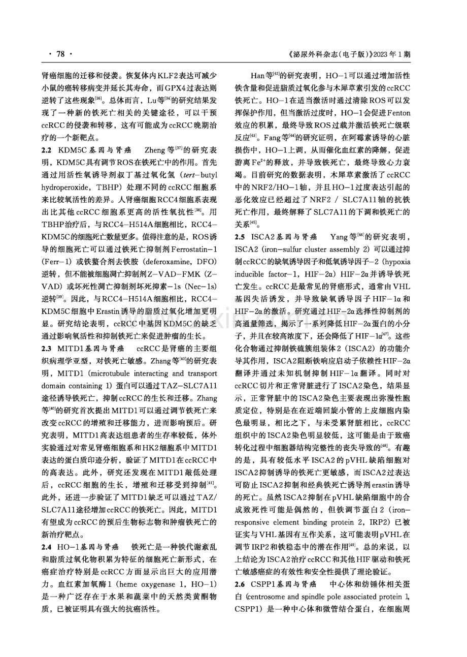 铁死亡基因在肾癌中的研究进展.pdf_第3页