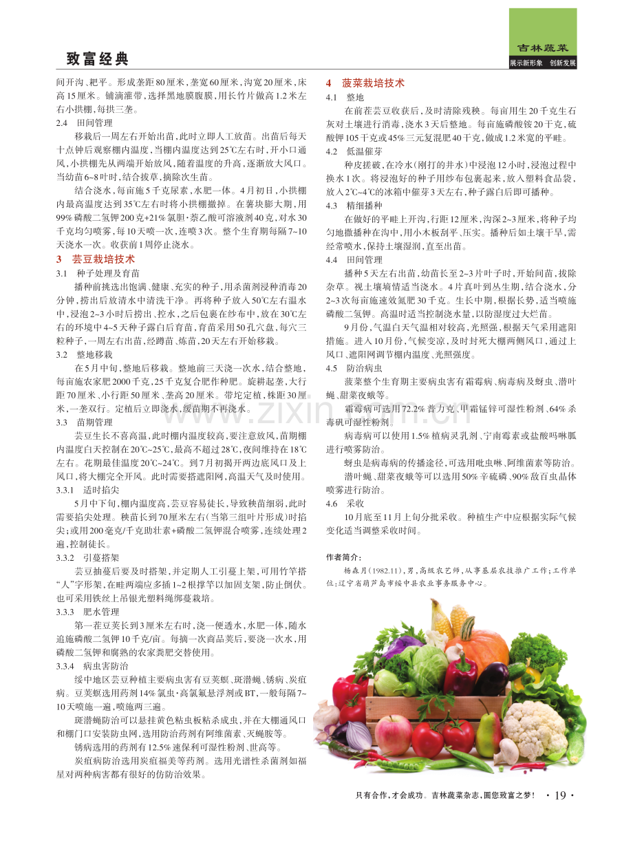 绥中县大冷棚马铃薯复种芸豆与菠菜三茬高效栽培技术.pdf_第2页