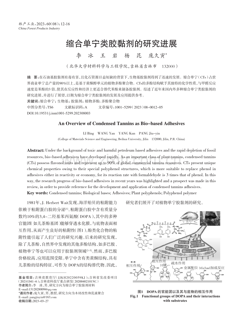 缩合单宁类胶黏剂的研究进展.pdf_第1页