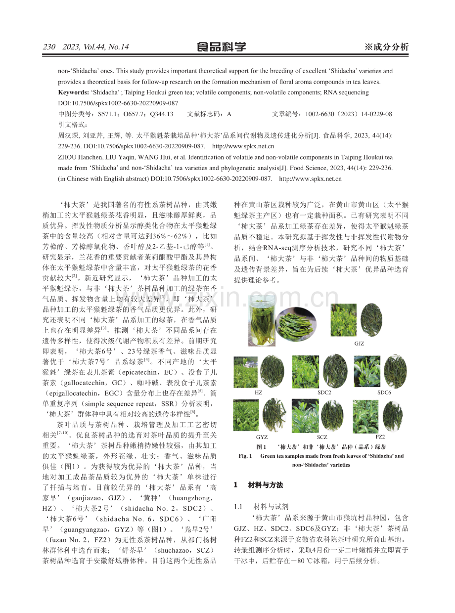 太平猴魁茶栽培品种‘柿大茶’品系间代谢物及遗传进化分析.pdf_第2页