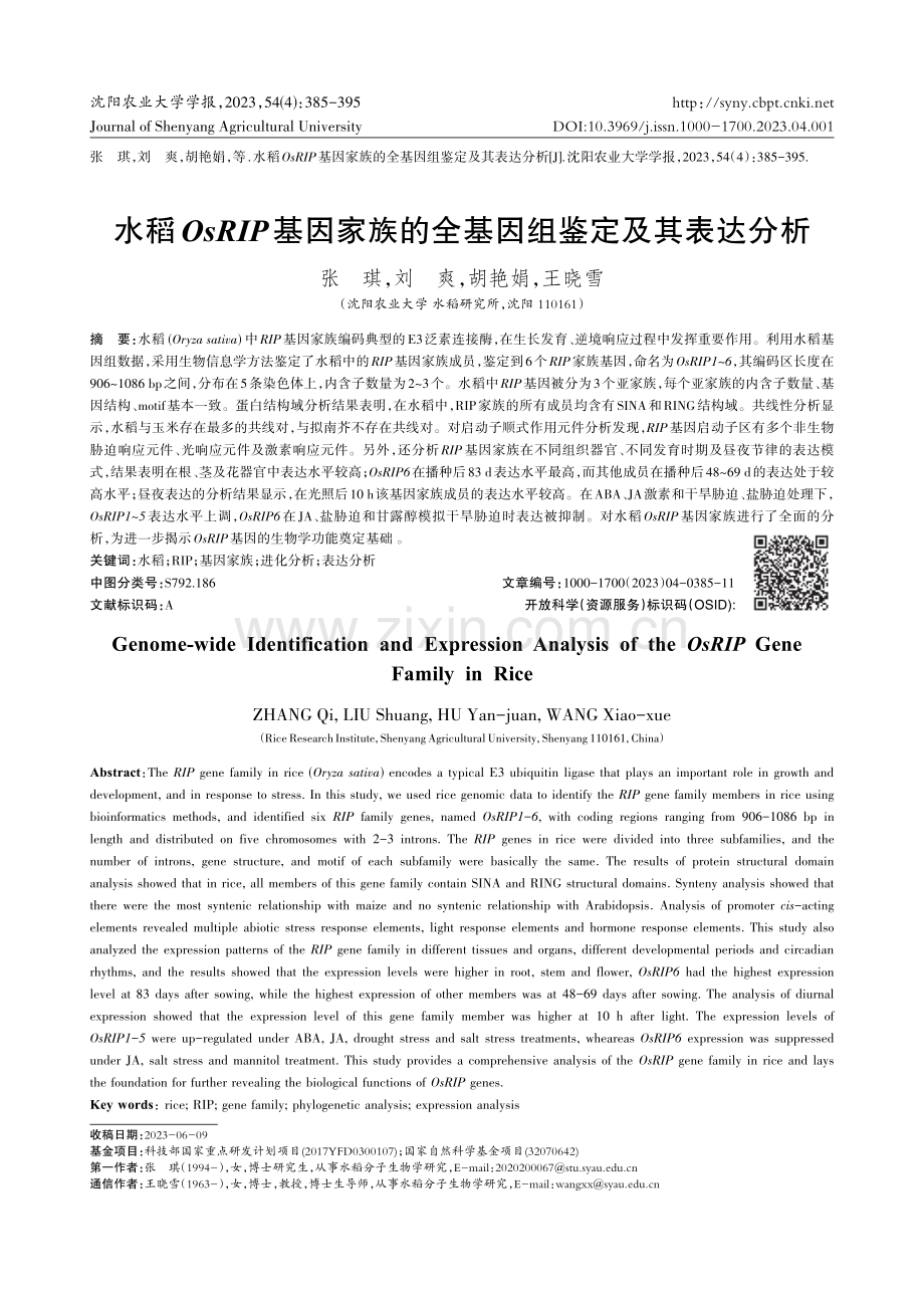 水稻OsRIP基因家族的全基因组鉴定及其表达分析.pdf_第1页