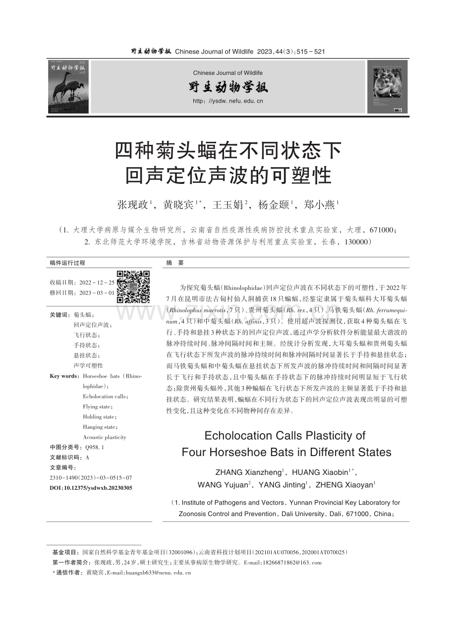 四种菊头蝠在不同状态下回声定位声波的可塑性.pdf_第1页