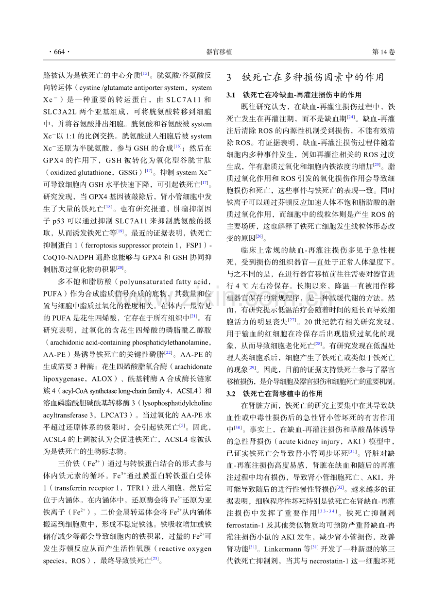 铁死亡在器官移植缺血-再灌注损伤中的作用与展望.pdf_第3页