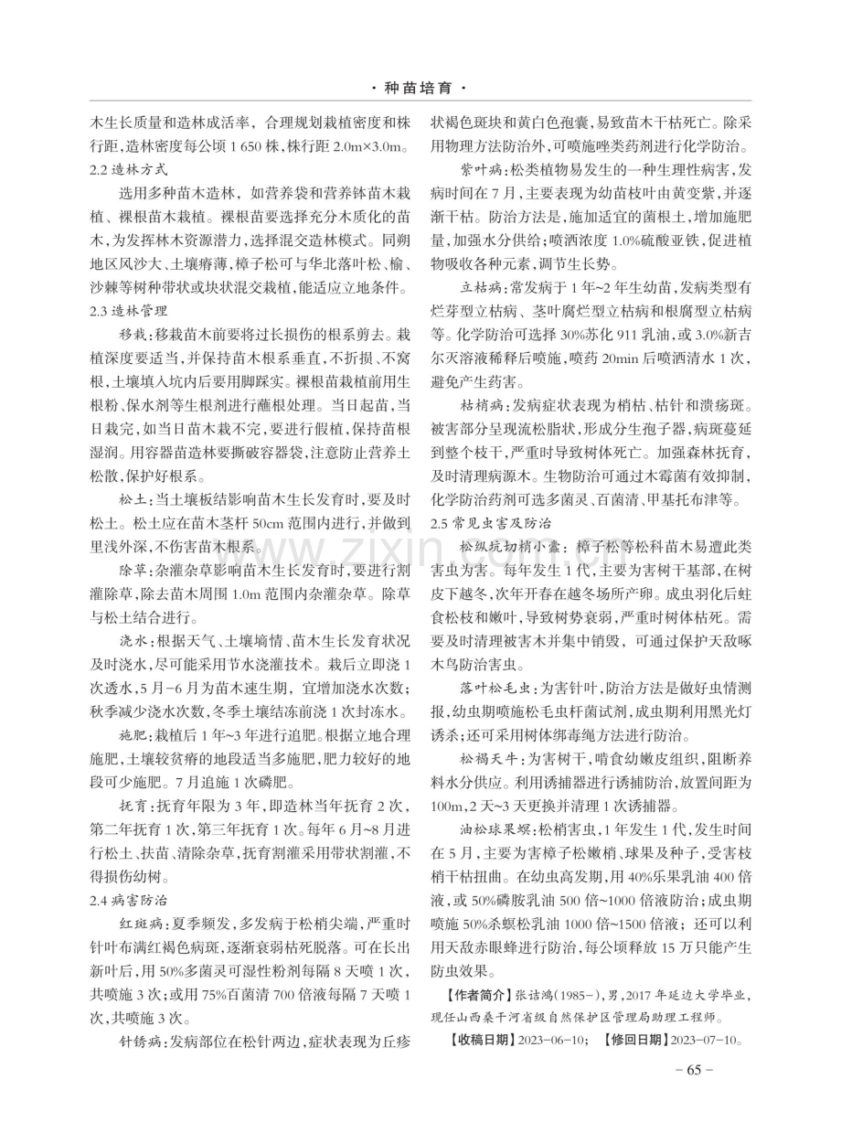 同朔地区樟子松育苗及造林技术.pdf_第2页