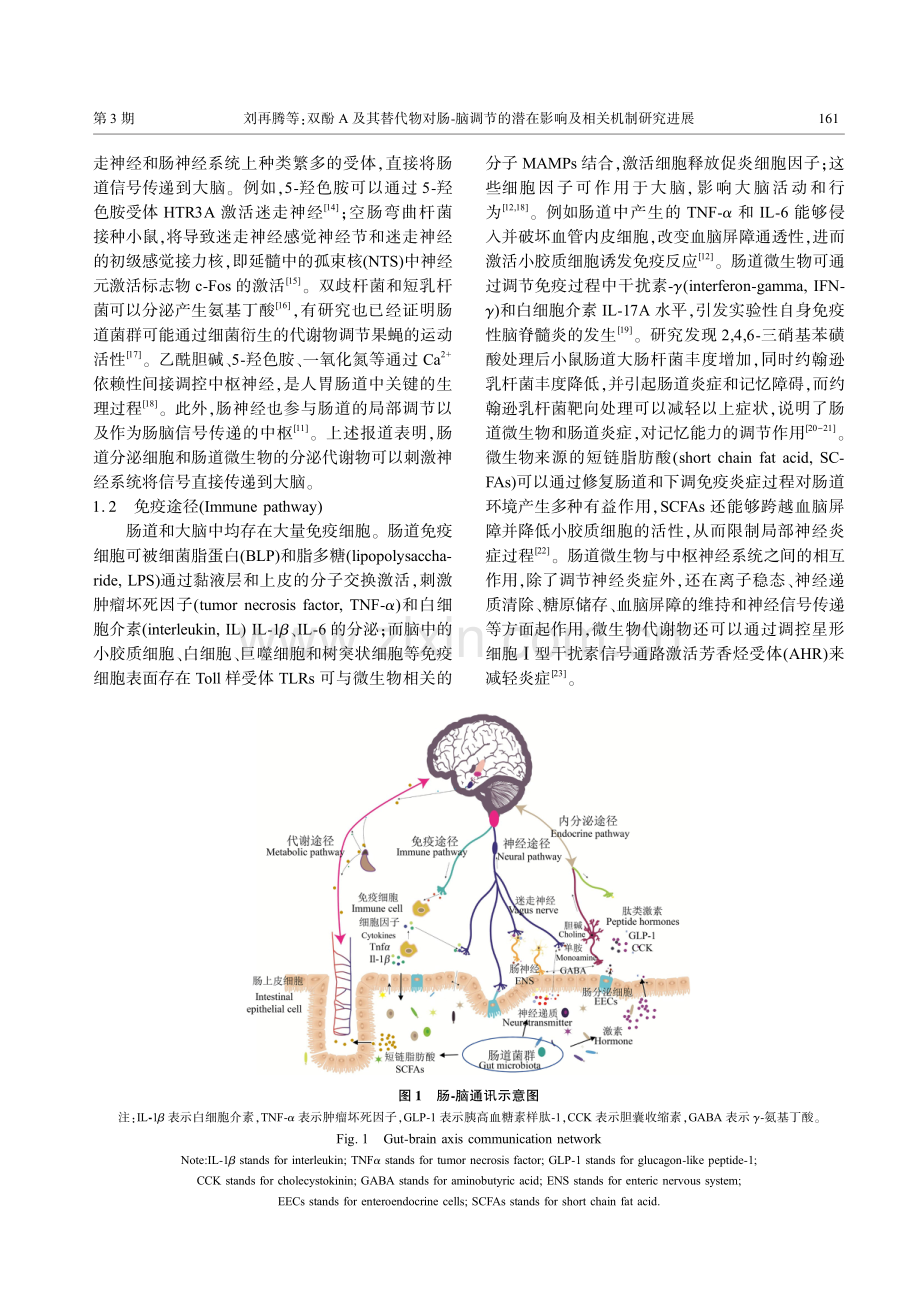 双酚A及其替代物对肠-脑调节的潜在影响及相关机制研究进展.pdf_第3页