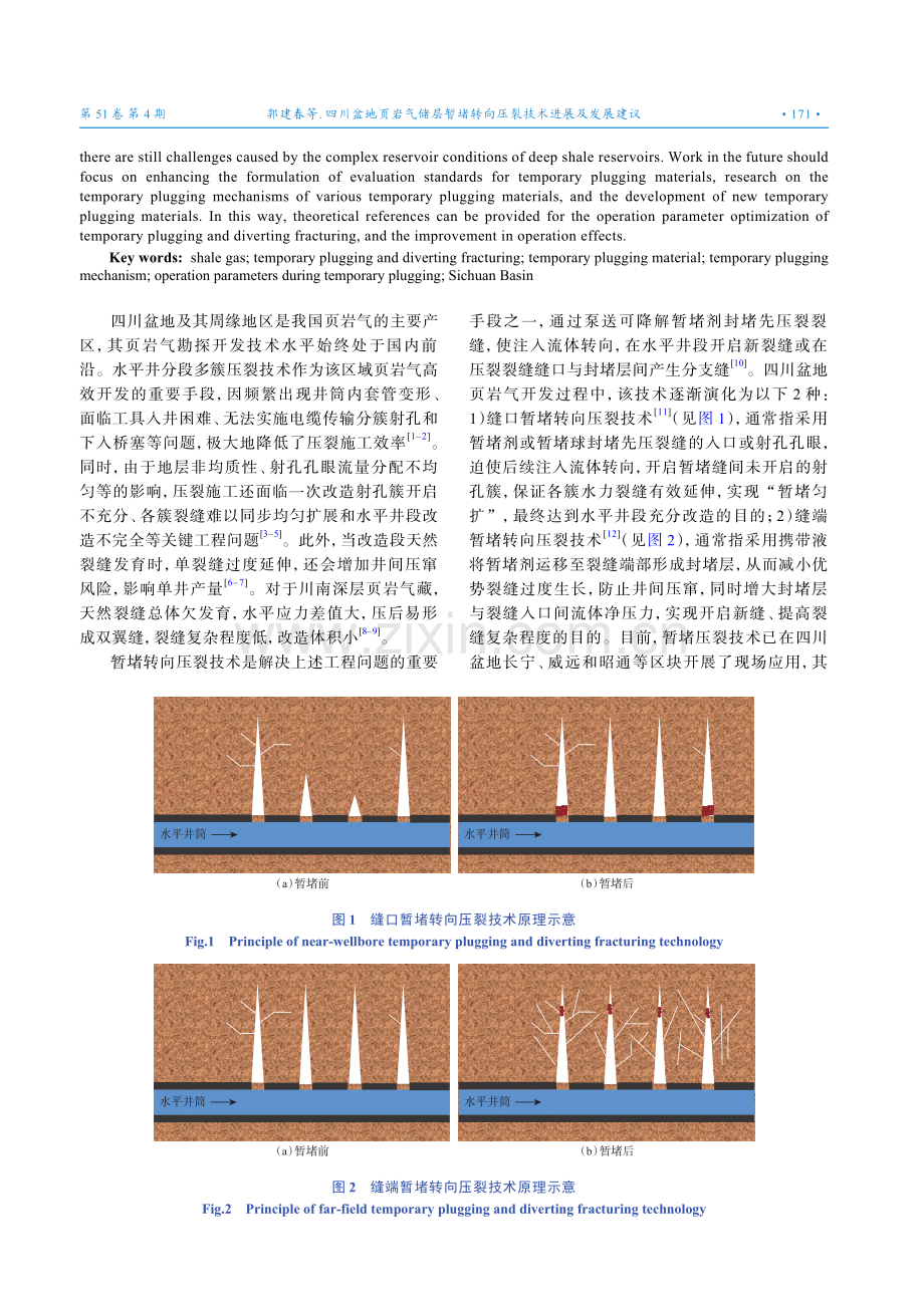 四川盆地页岩气储层暂堵转向压裂技术进展及发展建议.pdf_第2页