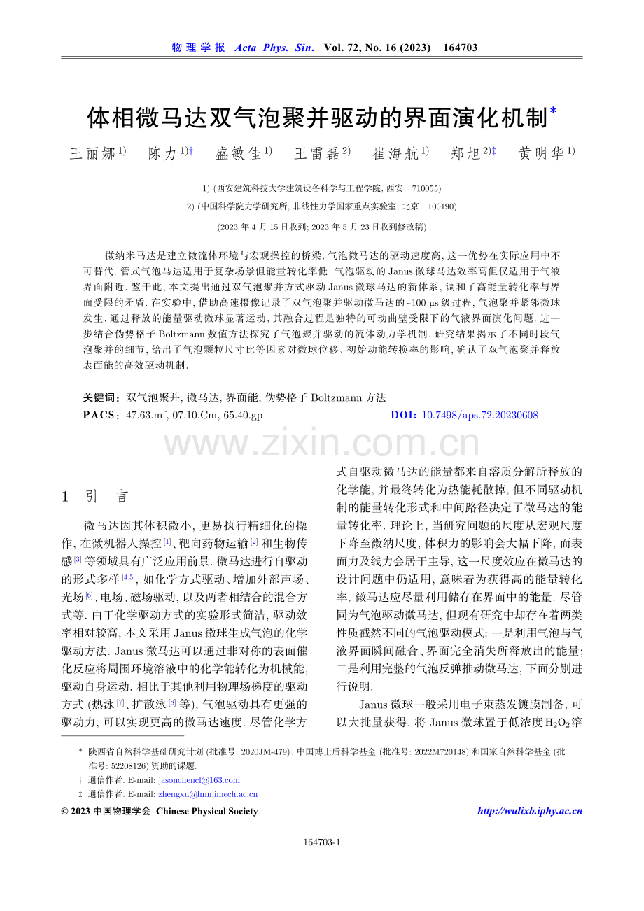 体相微马达双气泡聚并驱动的界面演化机制.pdf_第1页