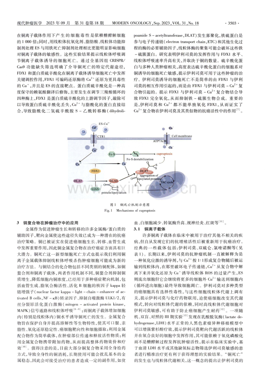 铜死亡与铜复合物抗肿瘤治疗研究进展.pdf_第2页