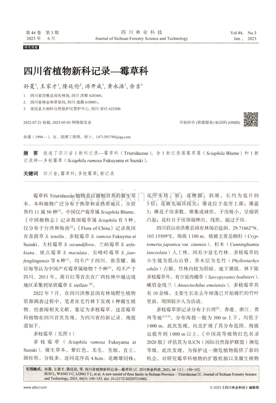 四川省植物新科记录—霉草科.pdf_第1页