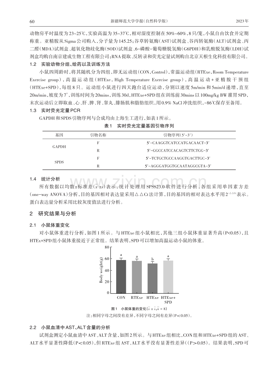 外源亚精胺对高温运动小鼠机体保护作用及机制研究.pdf_第2页