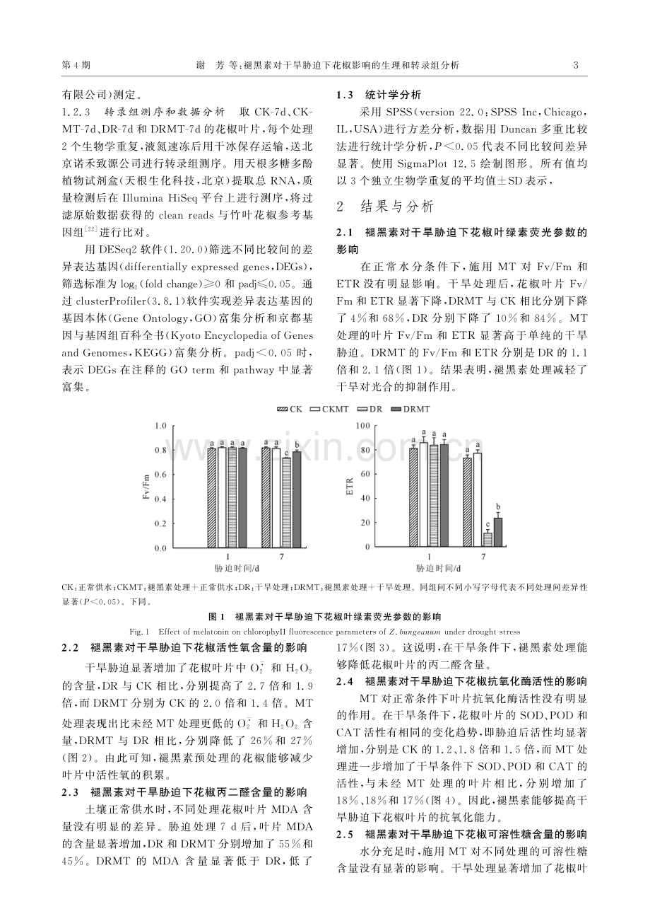 褪黑素对干旱胁迫下花椒影响的生理和转录组分析.pdf_第3页