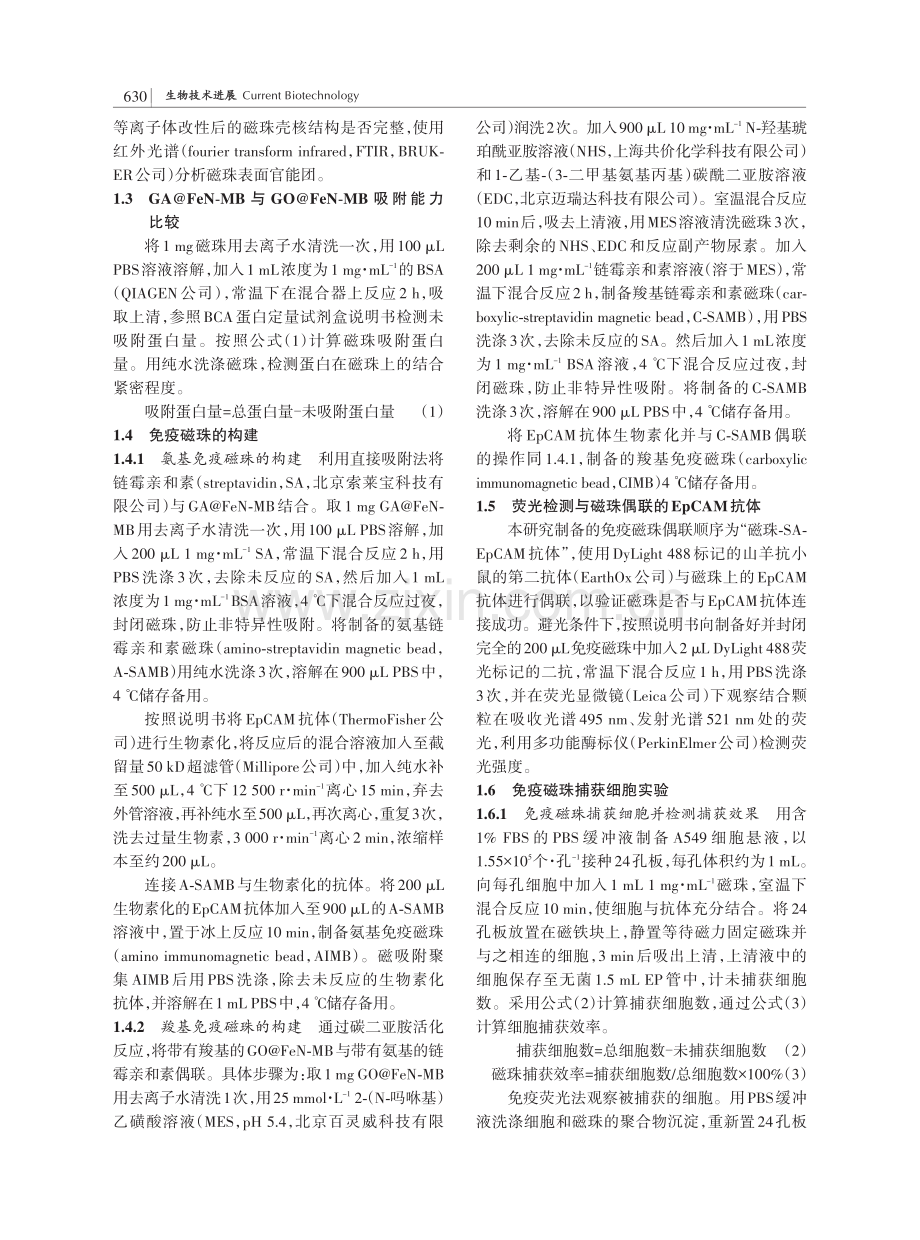 烯壳氮化铁纳米磁珠用于捕获肺癌循环肿瘤细胞的初步研究.pdf_第3页