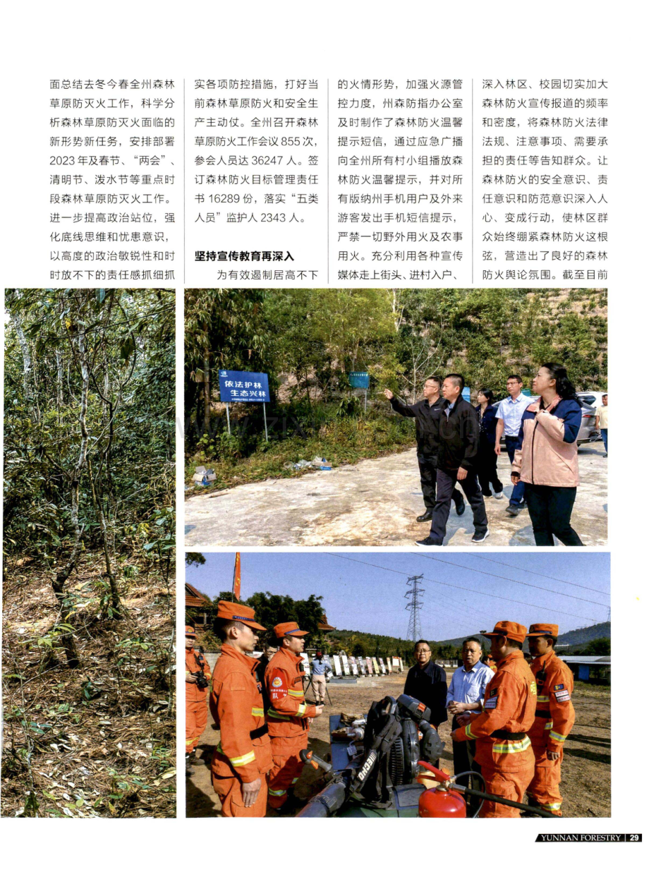 西双版纳州八举措抓实森林防火全力守护热带雨林.pdf_第2页