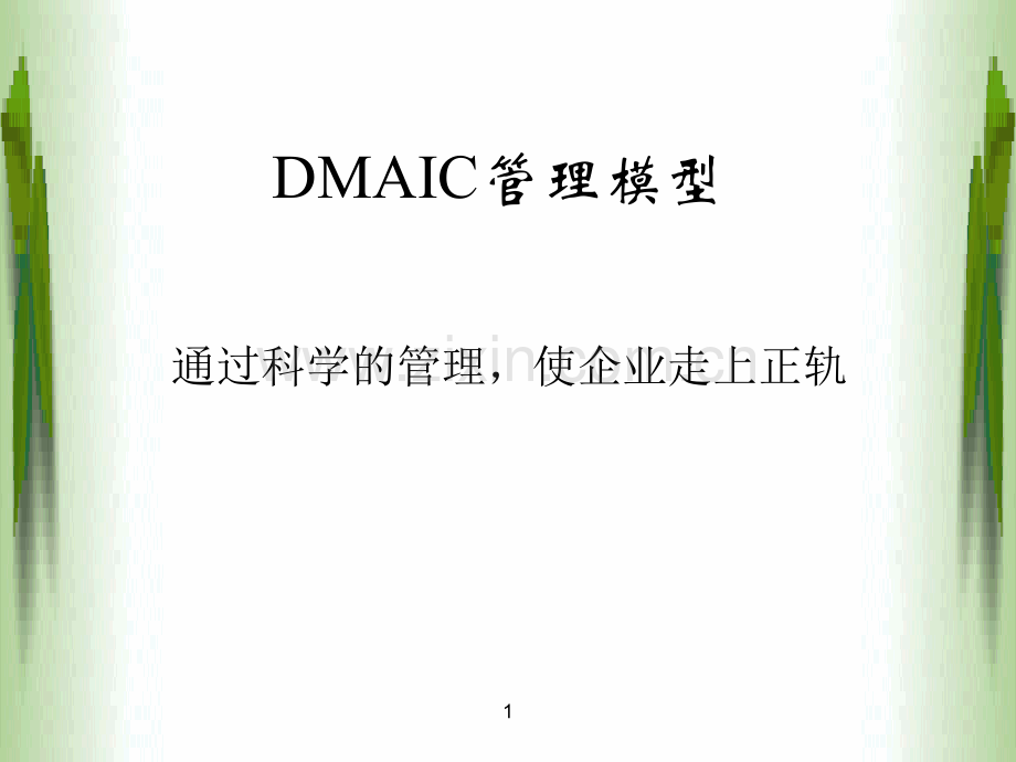 DMAIC详解管理方法.ppt_第1页