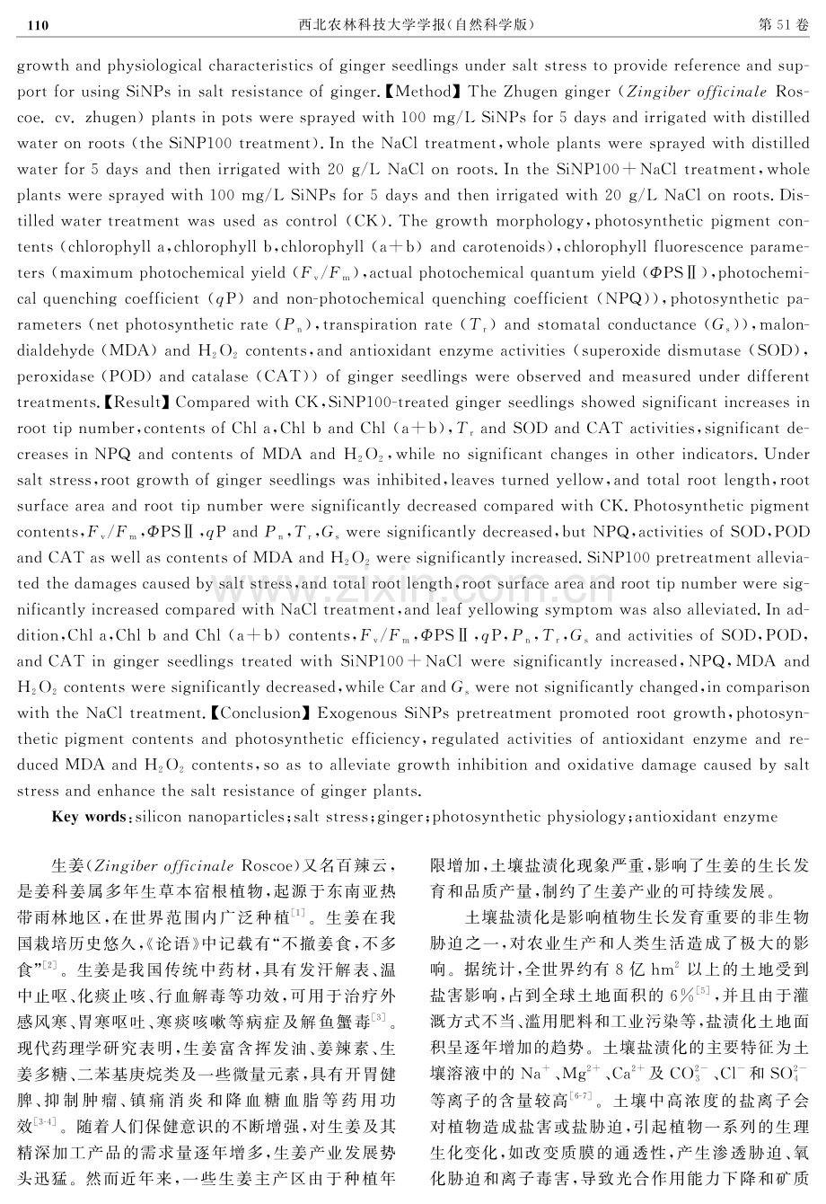 外源SiNPs对盐胁迫下生姜幼苗生长和生理特性的影响.pdf_第2页