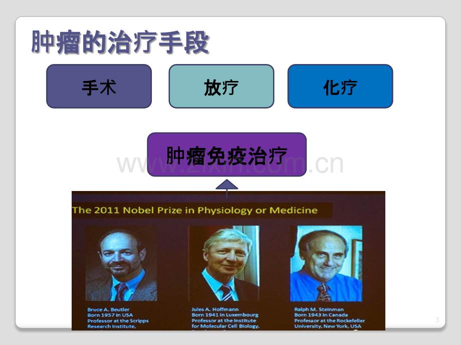 肿瘤免疫治疗课件.ppt_第3页