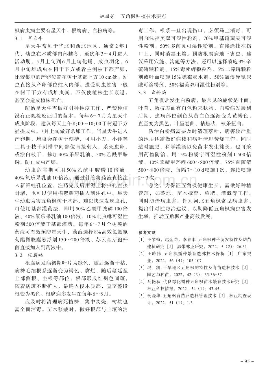 五角枫种植技术要点.pdf_第3页